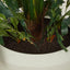Caryota Potted Palm Tree - 130cm