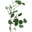 French Eucalyptus - Green 90cm