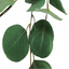 French Eucalyptus - Green 90cm