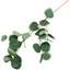 French Eucalyptus - Green 90cm