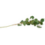 French Eucalyptus - Green 90cm