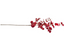 Eucalyptus - Red 88cm