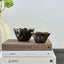 Ornament Bowl - Large