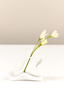 Infinity Ribbon Bud Vase