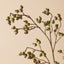 Berry Spray - Green 102cm