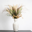 Fountain Grass - Cream