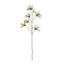 Catkin Spray - Green
