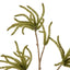 Catkin Spray - Green