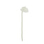 Anthurium Stem - White