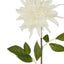 Dahlia Stem - White