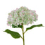 Hydrangea Stem - Green