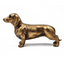 Gold Daschund