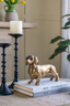 Gold Daschund