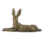 Gold Rabbit - Laying