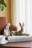 Gold Rabbit - Laying