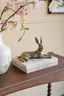 Gold Rabbit - Laying