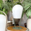 BOB Outdoor Lamp - Green - XL High