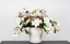 Legacy Magnolia Spray - Cream