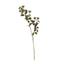 Leucospermum Spray - Fall Grey