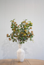 Leucospermum Spray - Fall Grey