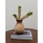 Macie Bouquet Vase