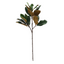 Magnolia Leaf Spray