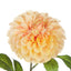 Chrysanthemum Stem - Orange