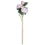 Peony Stem - Light Pink