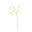 Primrose Spray - Lemon Medley