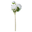 Peony Stem - White