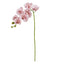 Phalaenopsis Orchid  - Pink 76cm