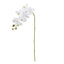 Phalaenopsis Orchid  - White 76cm