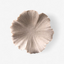 Shell Bowl
