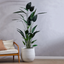 Sky Bird Plant - 213cm