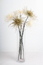 Spider Mum Stem - Winter White