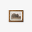 Stand of Trees Wall Art - 25x20cm