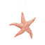 Starfish Hanging Decoration