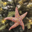 Starfish Hanging Decoration