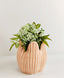 Rylie Petal Planter - Pink