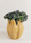 Rylie Petal Planter - Yellow