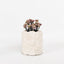 Daisy Planter - 2 sizes