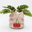 Cherry Bow Planter