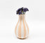 Halcyon Stripe Vase - Peach