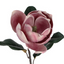 Vintage Magnolia - Dark Mauve
