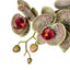 Phalaenopsis Orchid Pot - Multicolour