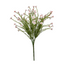 Wax Flower Bush - Cream