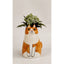 Sitting Cat Vase - Orange
