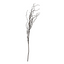 Willow Branch
