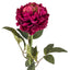 Peony Stem - Burgundy